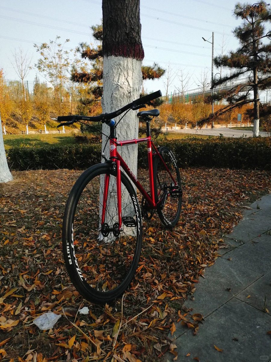 tsunami82269's tweet photo. TSUNAMI snm4130 Red Reynolds 4130 steel frameset #fixedgear #TSUNAMI #snm4130
Frame and 1 1/8 Fork made from Reynolds 4130

Headset Included

Available in Matte Black, Forest Green, Cherry Red, and Splatter Blue

27.2 Seat Tube Diameter

BSA 68MM Bottom Bracket Shell https://t.co/xpfWTQbwja