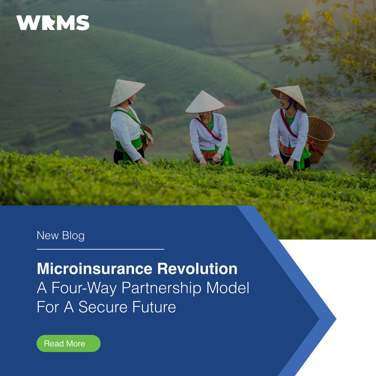 Weather Risk Management Services tweet media