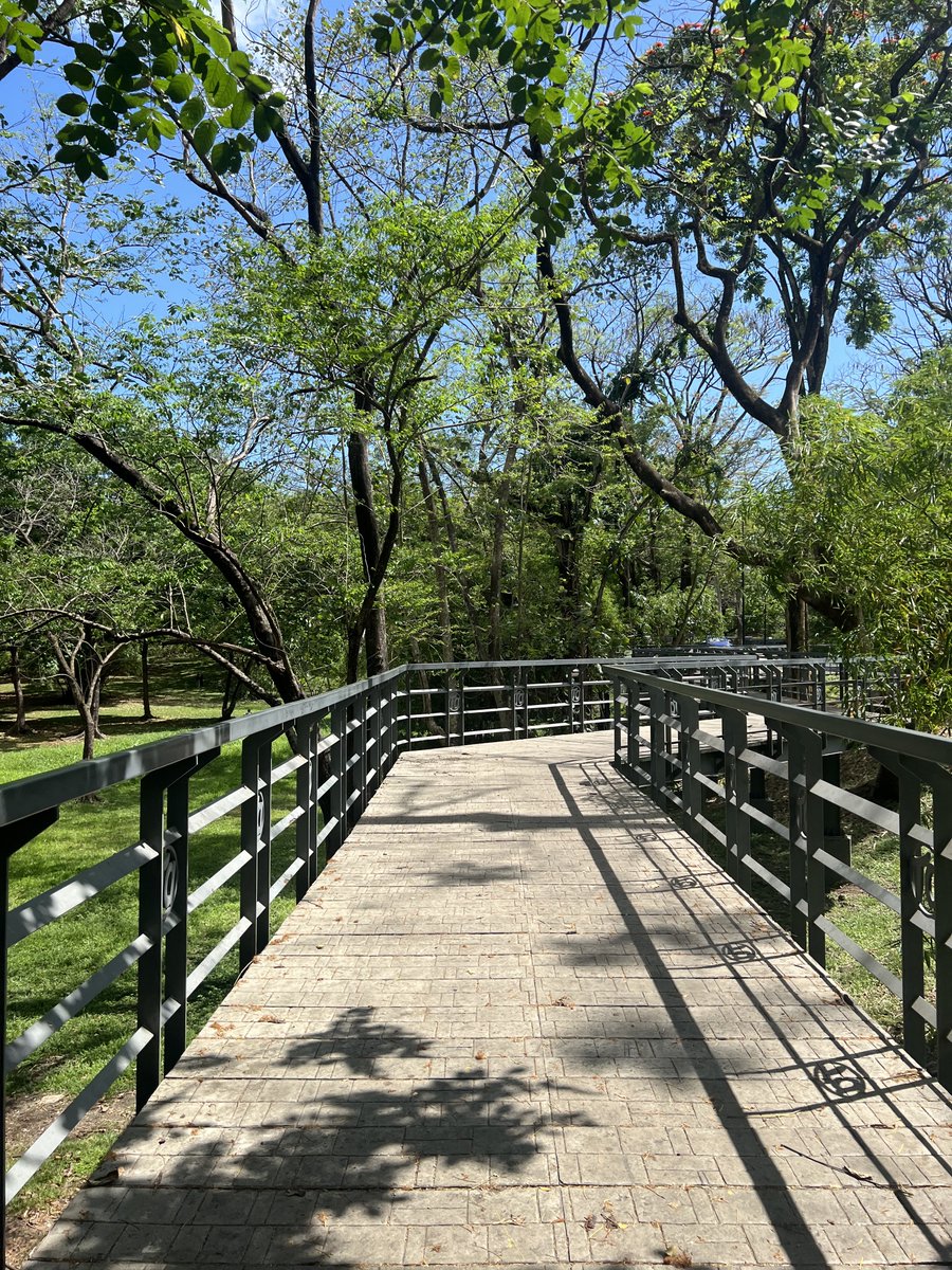 wonuscene's tweet image. had time to walk around the campus today