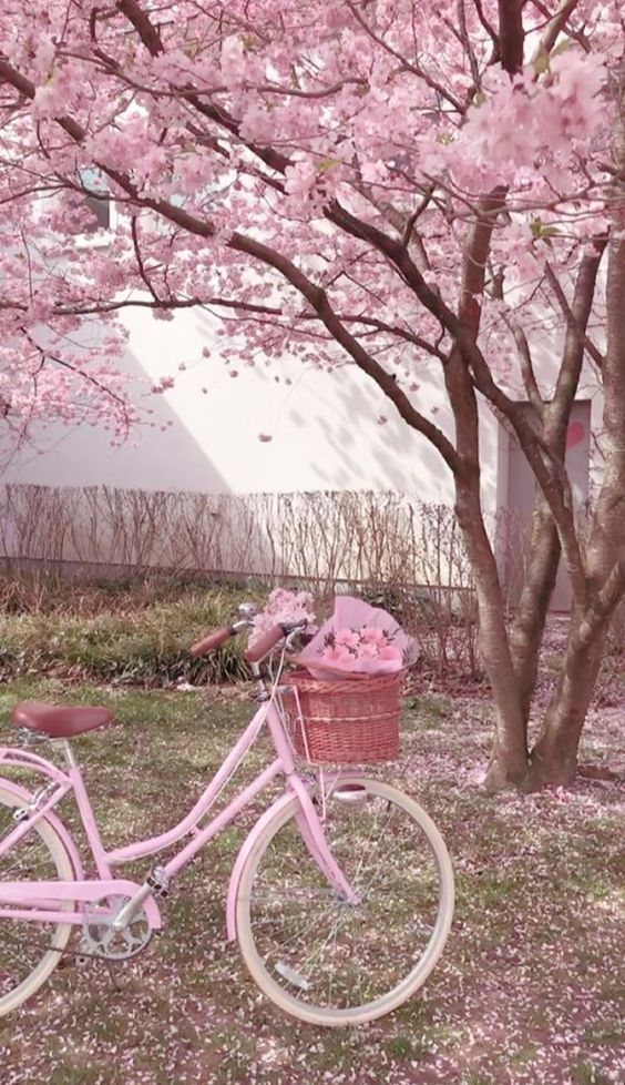 사랑한다구 (@ssaranghandagu) on Twitter photo 