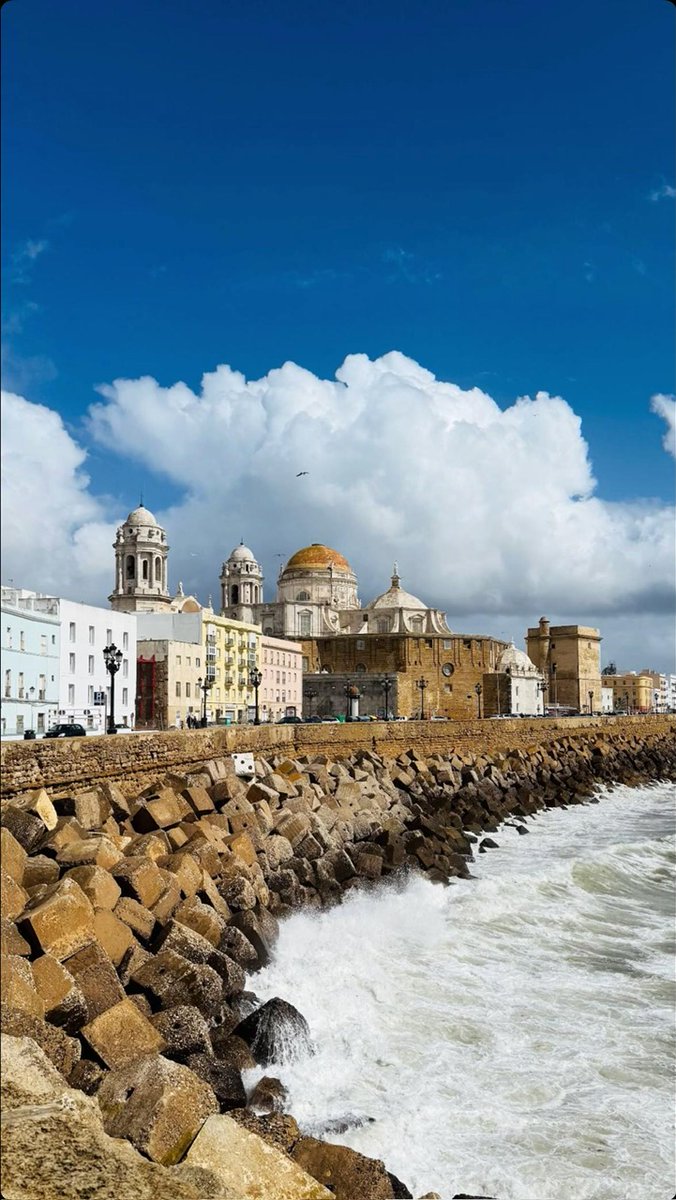 VisitCadiz's tweet photo. La mejor medicina se encuentra en los rayos de sol que disfrutamos en Cádiz con la llegada de la primavera 💊🌺

#cadiz #cadizenprimavera #primavera #ayuntamientodecadiz #cádiz365días #cadizorgullososdenuestrahistoria #picoftheday #springmood #green #marzo #cadizturismo https://t.co/1SHSDUqK2h