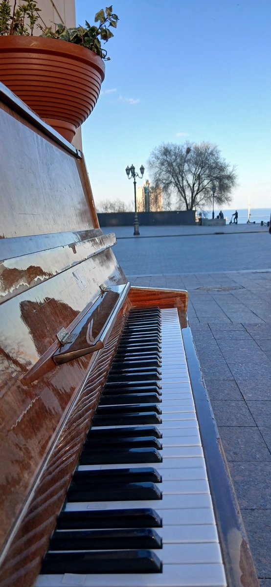 Ця світлина тут, щоб нагадати про те що залишати дерев'яні інструменти просто під відкритим небом не припустимо. Як би це не здавалося естетично власникам кав'ярень!