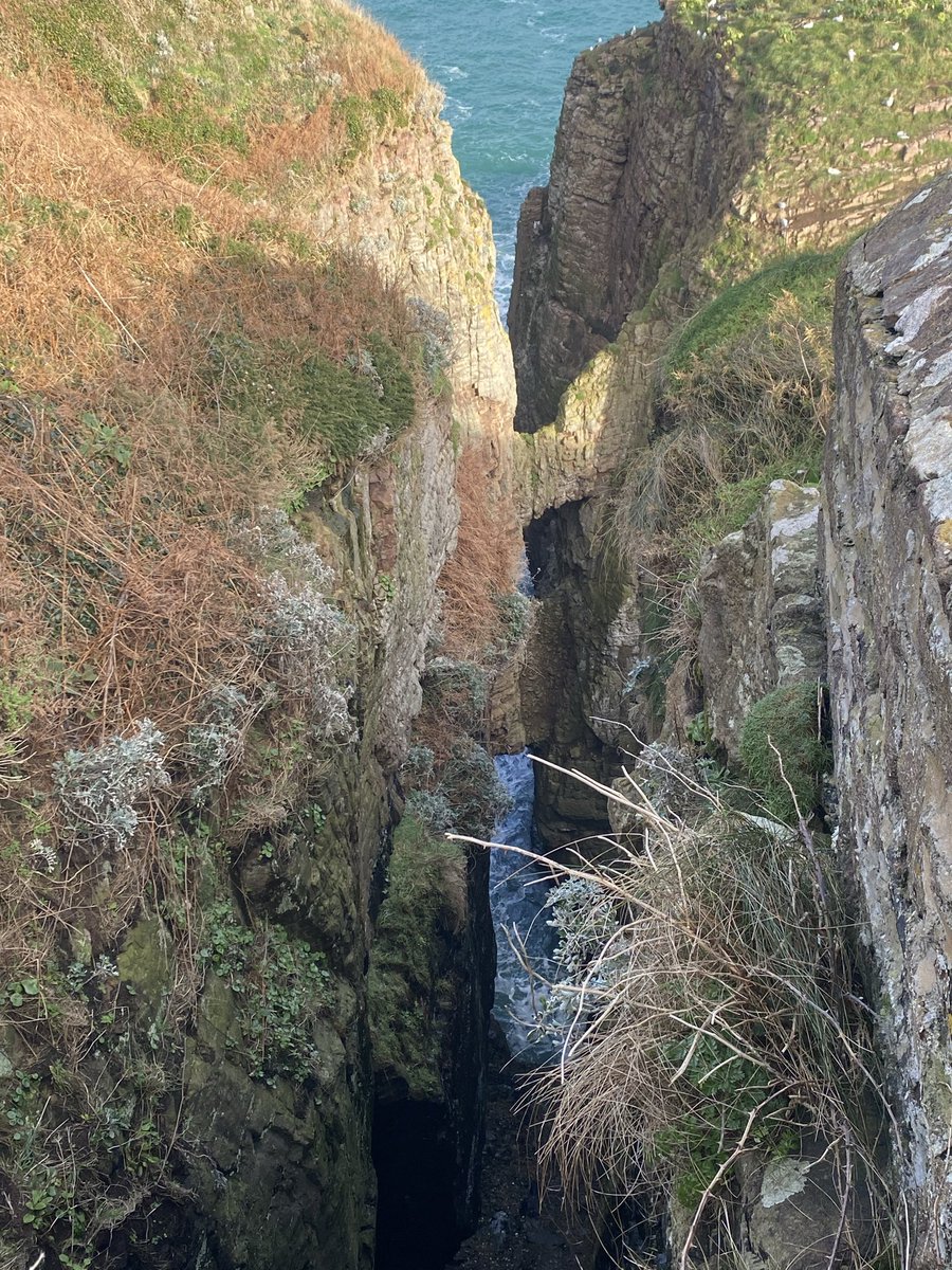 _Parsley_Sage_'s tweet image. Never

#cliffs #sea 
#NaturePhotography