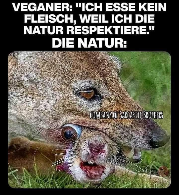 Rudi Restermann tweet media