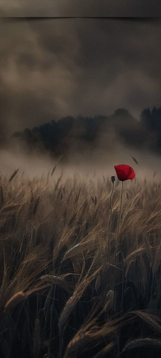 Ne fırtınalar koptu benim hayat dallarımda..
Hiç birinde vazgeçmedim umutlarımdan..
İçimde kıyametler kopsada..
Ben BAHAR" ıyım yarınlarımın,
çiçek açarım her kışın ardından..
~
Nâzım Hikmet
