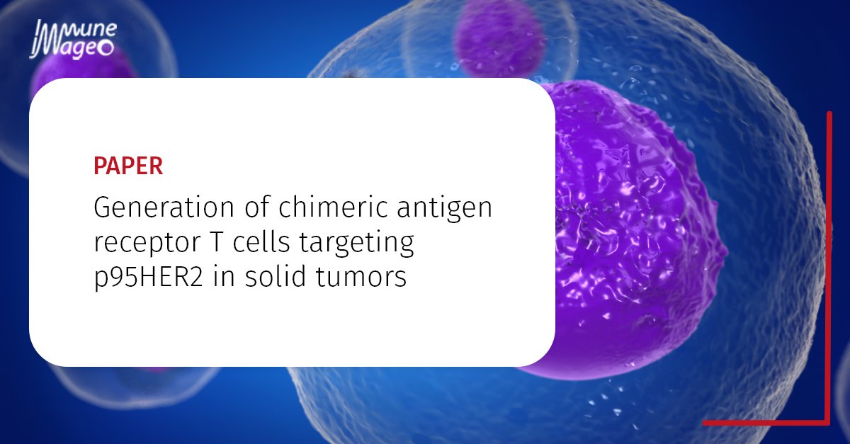 📢 New paper! Macarena Roman and the team enhanced CAR T cells for HER2-amplified tumors using bispecific antibodies, showing promising results.

🔗 Read more: lnkd.in/e4H766F2

#CancerTreatment #Immunotherapy #ImmuneImaging #Research #MolecularImaging