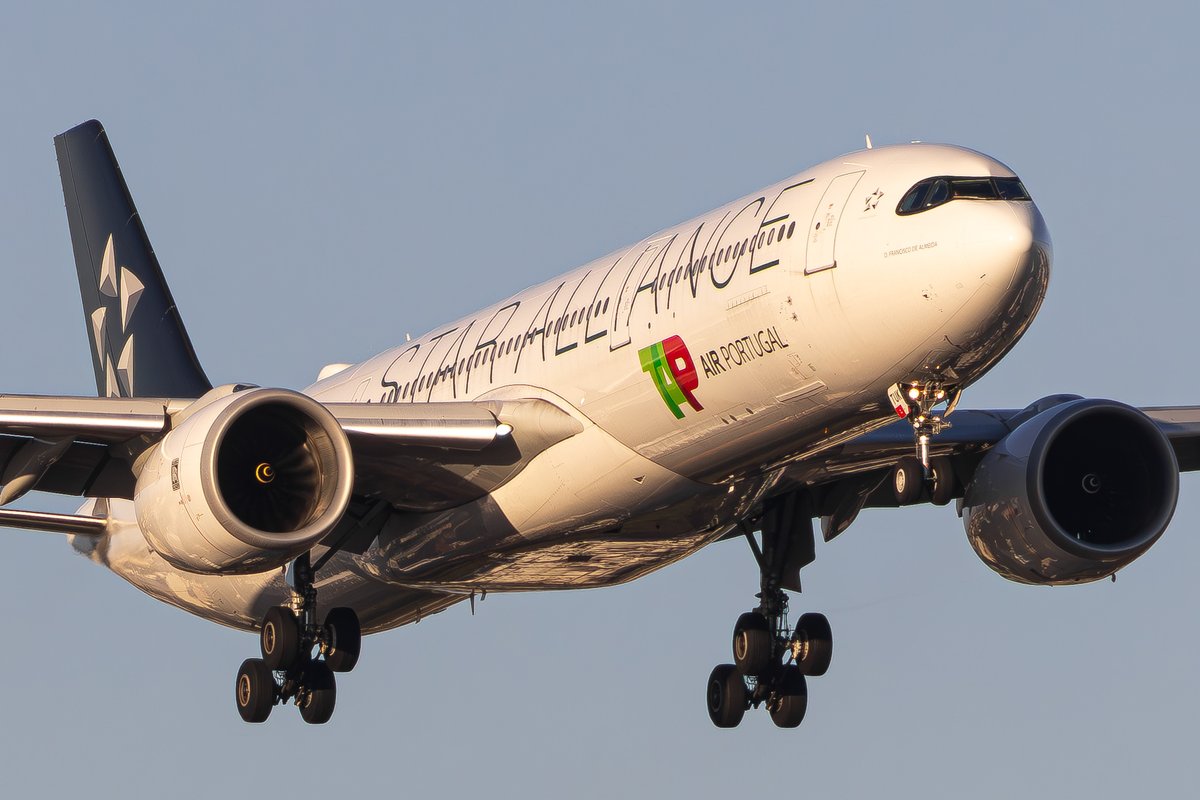 k_t_aviation's tweet image. La Star Alliance de TAP en courte finale pour Lisbonne 🇵🇹✈️

CS-TUK | A330-941 | TP 244 ~ ORD - LIS