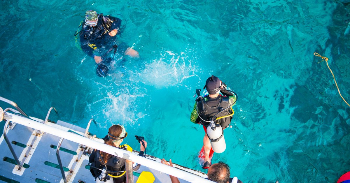 N9BO_official's tweet image. 🌊 **Break free from your 9 to 5!** Join our #InstructorDevelopmentCourse (#IDC)**:

1. 🏊‍♂️ *Assistant Instructor (AI)*
2. 🌍 *Open Water Scuba Instructor (OWSI)*

Complete both, ace your **Instructor Examination** &amp;amp; become a #PADIPro!

@PADI 

#ScubaDivingLife #DiveInstructor