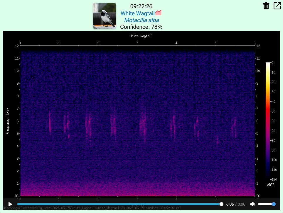 kinkpunk's tweet photo. Spring is back! My BirdNET detected a White Wagtail (Пліска белая) with 78% confidence! The little dancer is back 😊 #BirdNET https://t.co/RkMEysbFeq