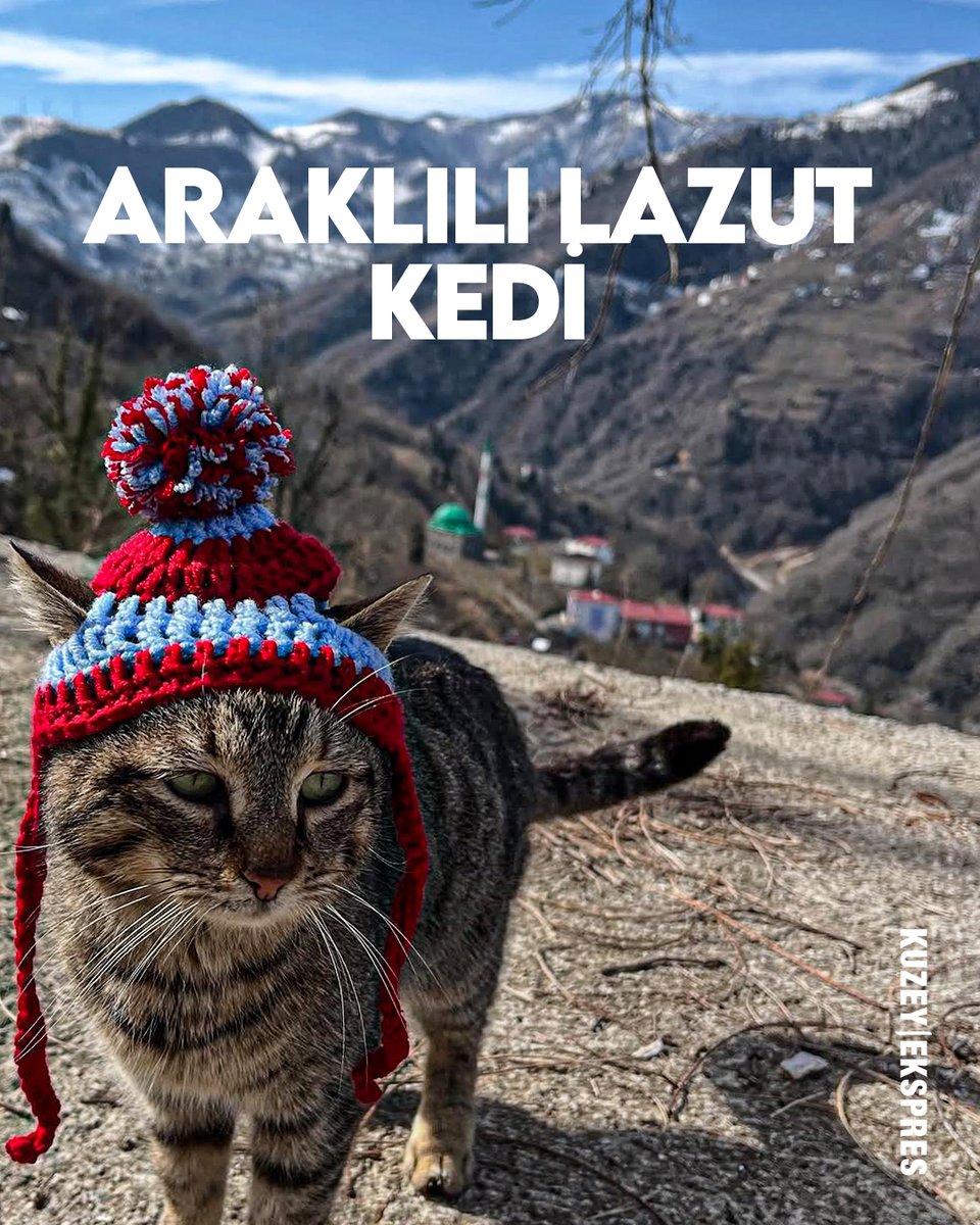 Kuzey Ekspres tweet media