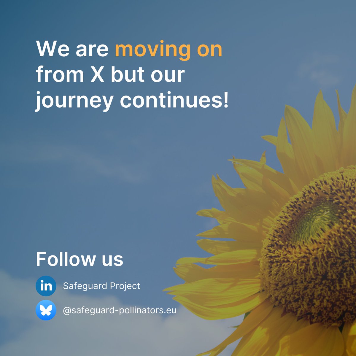 📢 Safeguard is growing its online presence! While we won’t be posting on X, you can still follow our journey as we share key insights on #pollinatorconservation 🐝

Stay connected with us:
✅ LinkedIn: linkedin.com/company/safegu…
✅ Bluesky: bsky.app/profile/safegu…

#EUpollinators