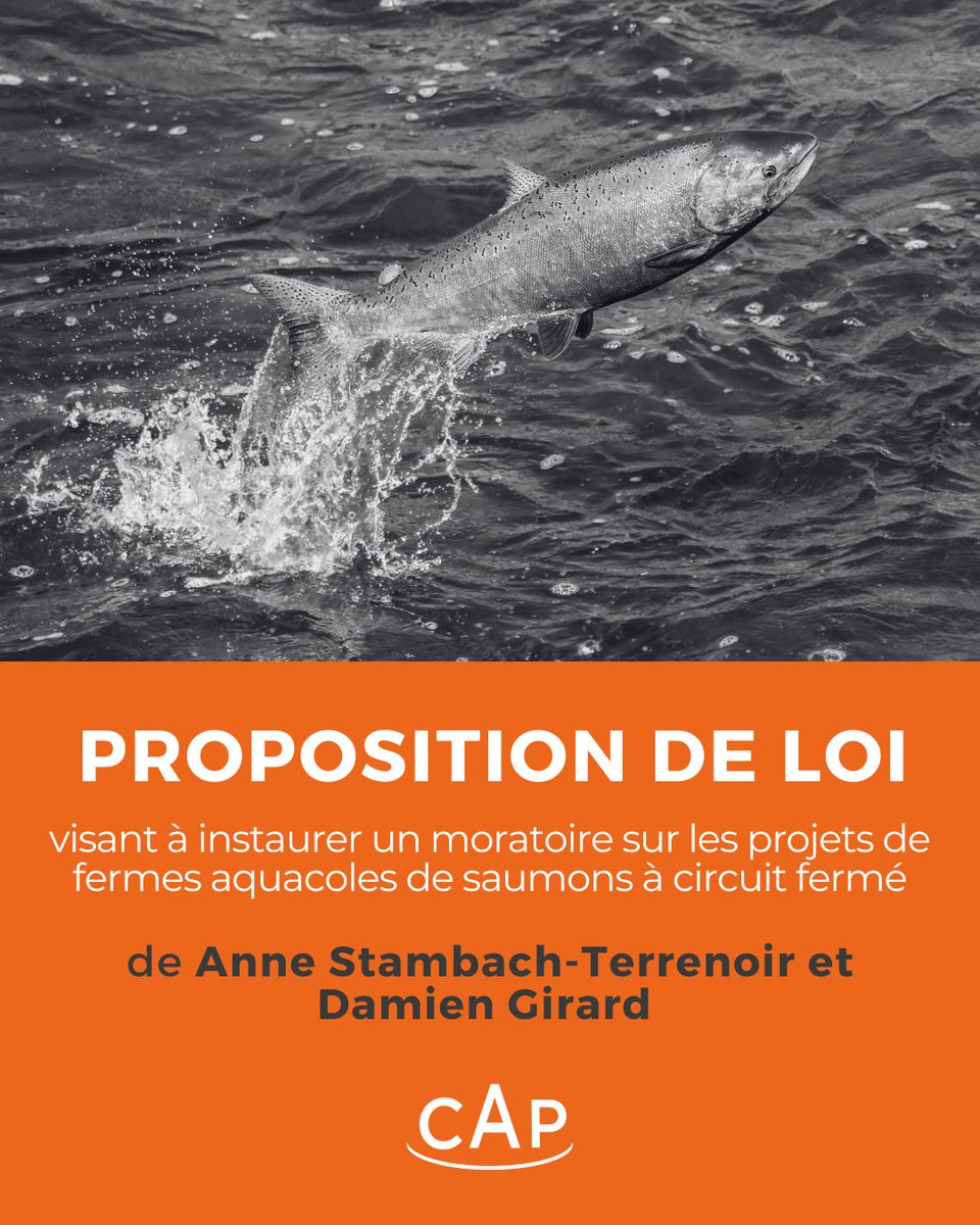 Convergence Animaux Politique tweet media