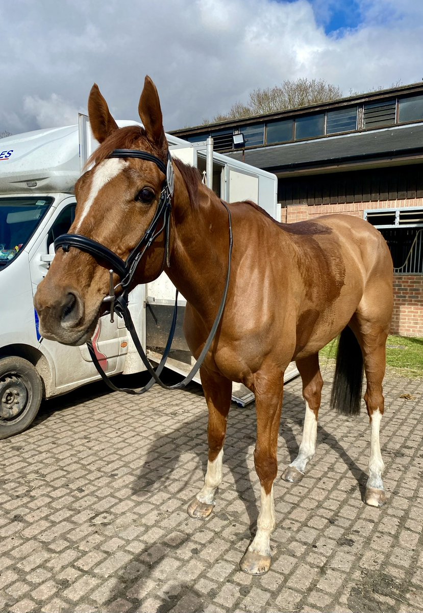 Coolmoyne runs in the 3.50 <a href="/HexhamRaces/">Hexham Racecourse</a> today.  Returns to fences today after winning two Dressage comps at the weekend and qualifying for the Retraining of Racehorses winter dressage finals
