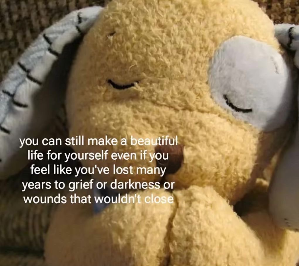 ✧ (@northstardoll) on Twitter photo 