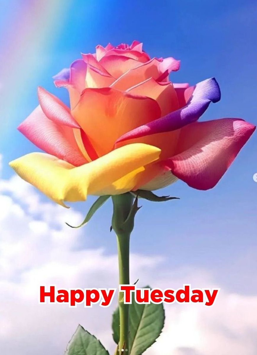 1: Retweet this🩷🧡
2: Follow all that Like &amp; Retweet🩷🧡
3: Follow back all that follow you🩷🧡
Follow👉<a href="/CryptoBULLiever/">The Ri🎵ler of TR👁TH</a> <a href="/sitaravirgo/">sitara_star 💫🌟</a> <a href="/Spencerjames211/">Spencer James #GAINWITHPETAL #TMPETAL #Teamspirit</a> <a href="/Sdf27242/">🐬🐨🔃💧 saad</a> <a href="/mirl00/">Miral</a> <a href="/EndaRet25/">🇺🇸🗽𝓔𝓷𝓭𝓪_𝓡𝓮𝓽🗽🇺🇸</a> <a href="/kittymayo7101/">#BossLady 👑</a> <a href="/1qqmr/">𝓦𝓐𝓐𝓓</a> @IraniSouz <a href="/vannia_aurora/">me</a> <a href="/GirlMia9079/">Mia The mystery girl</a> <a href="/DreamyTechGirl/">DreamyTechGirl 🌺🦋💙</a> @SdvAsdfb <a href="/MirCaro/">CaroMir</a>