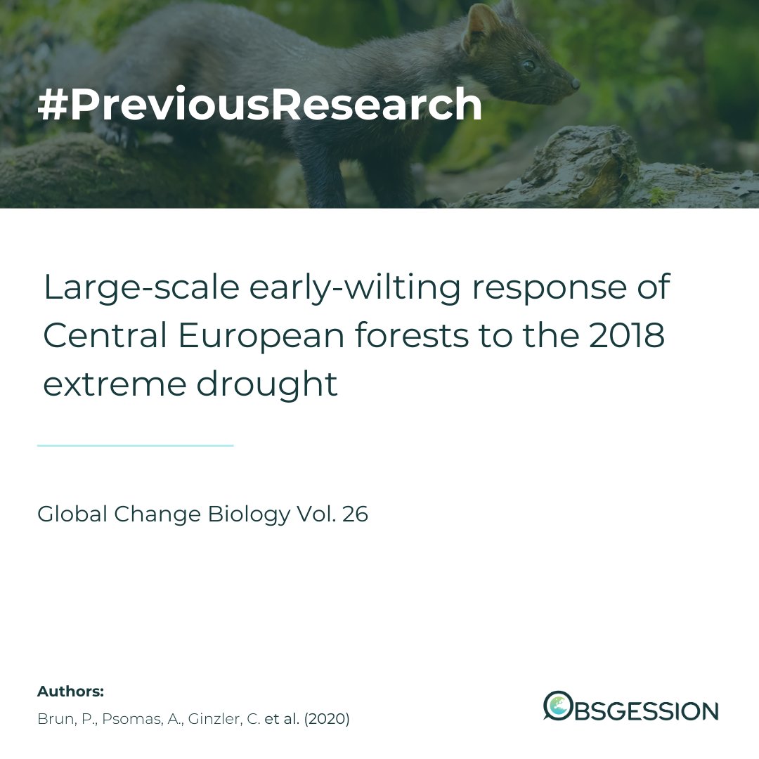 🌍This week on #PreviousResearch we show you another implementation of satellite imaging for #ecosystem monitoring: effects of drought and high temperatures on #forests in Central Europe.🌳

 Full article here: onlinelibrary.wiley.com/doi/full/10.11…