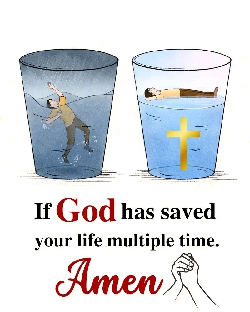 Holy Bible tweet media