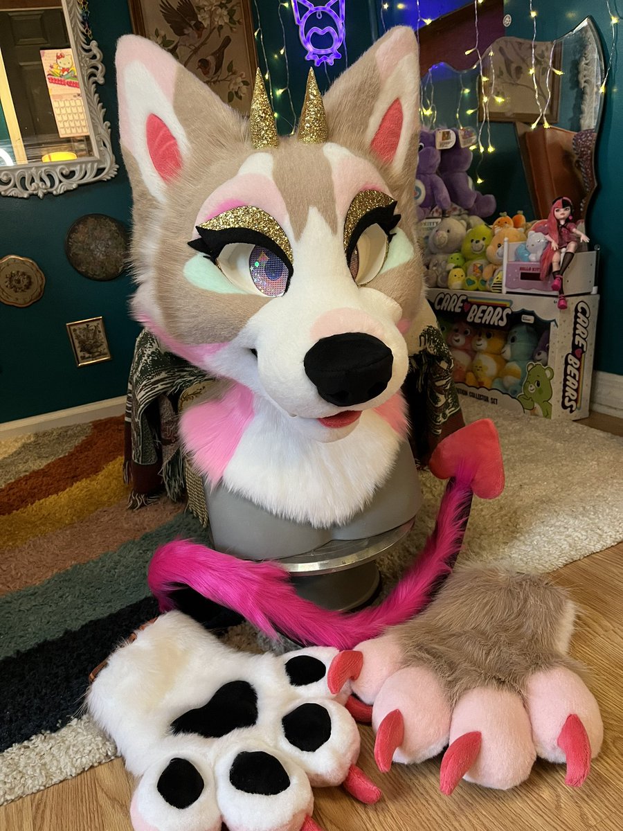 ¡shiba! tweet media