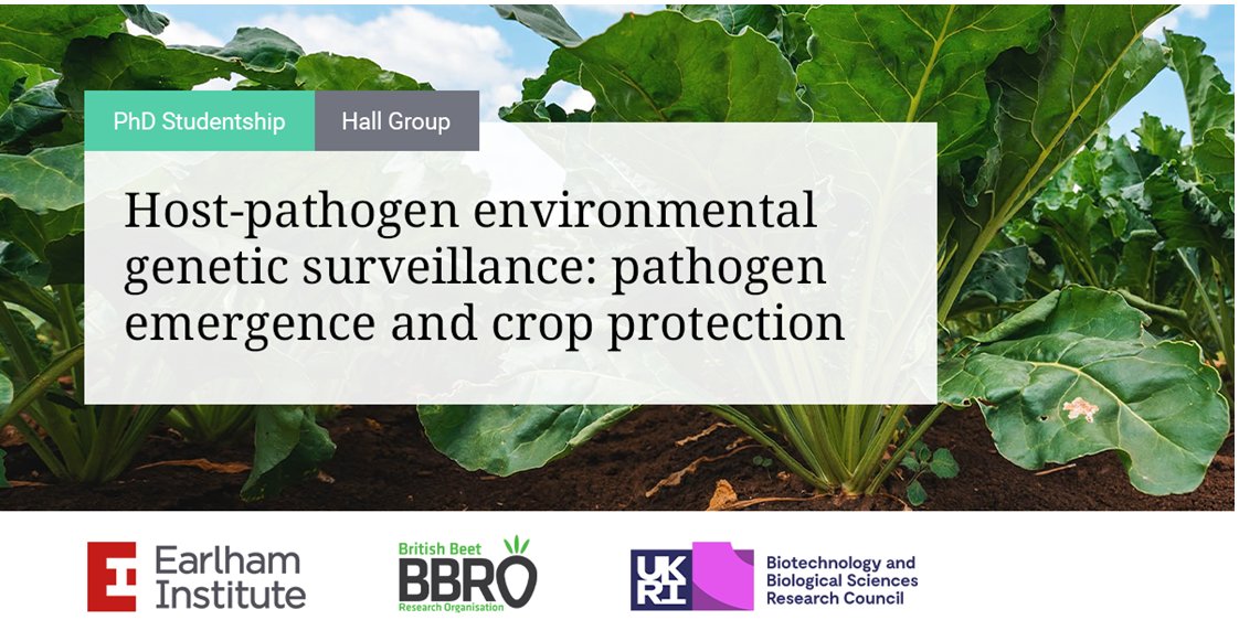 PhD opportunity.  Excellent facilities, knowledgeable staff and supported by BBRO.  What are you waiting for? Apply now:  earlham.ac.uk/studentship/ho…
<a href="/BritishSugar/">British Sugar</a> <a href="/NFUSugar/">NFU Sugar</a> <a href="/HarperAdamsUni/">Harper Adams University</a> <a href="/UniofNottingham/">Uni of Nottingham #WeAreUoN</a> <a href="/unilincoln/">University of Lincoln, UK</a>