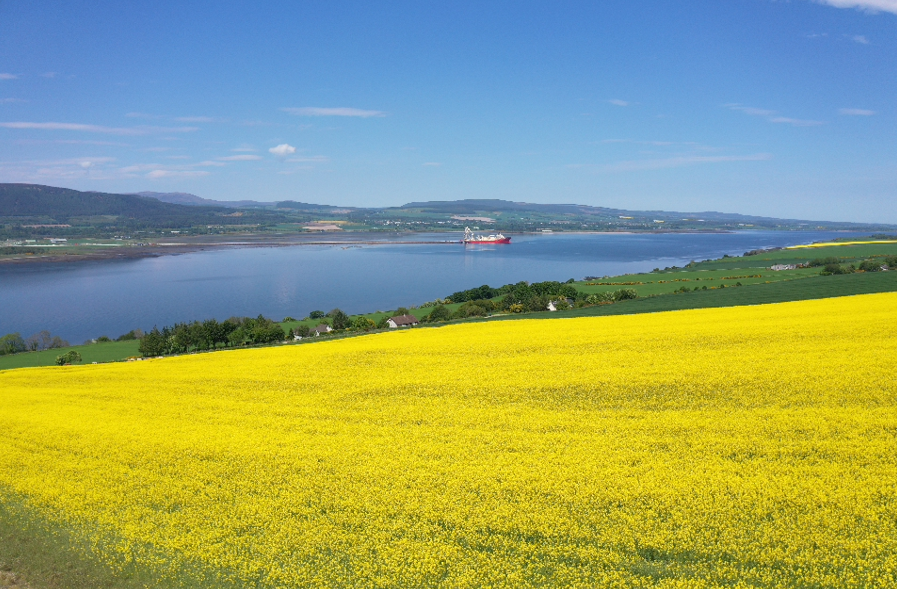 Spring has finally sprung in the Highlands! 💛 What’s your favourite thing about travelling the #NorthCoast500 during spring? For us, it’s the stunning colours that bring the landscape to life.💐🌊 Let us know what you love most about this time of year on the route!