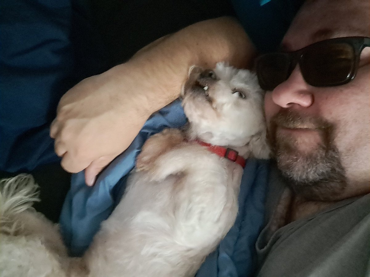 Wiljack86's tweet photo. My heart is forever broken 
RIP Sadie 3/13/11-3/25/25
There is no more pain baby
No more darkness
Thank you for saving my life
I will always love you ❤️ https://t.co/TyC91mSru7