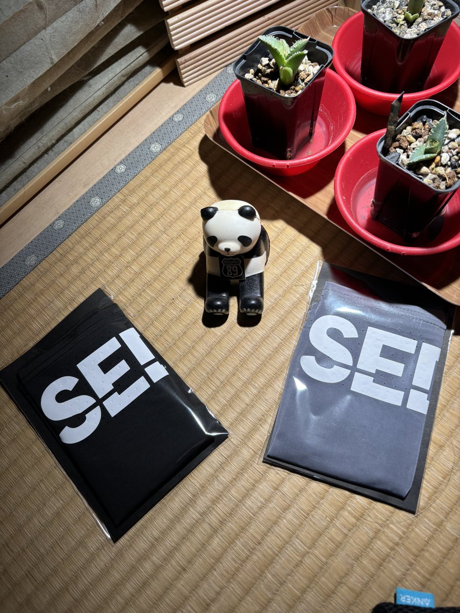 YoYosen1664319's tweet photo. 今回は🐼さんに忖度して黒も購入w
#SEDZ
#basshack
#𝗟𝗨𝗩𝟮𝗣𝗟𝗔𝗡𝗧 https://t.co/JudCsDjbTF