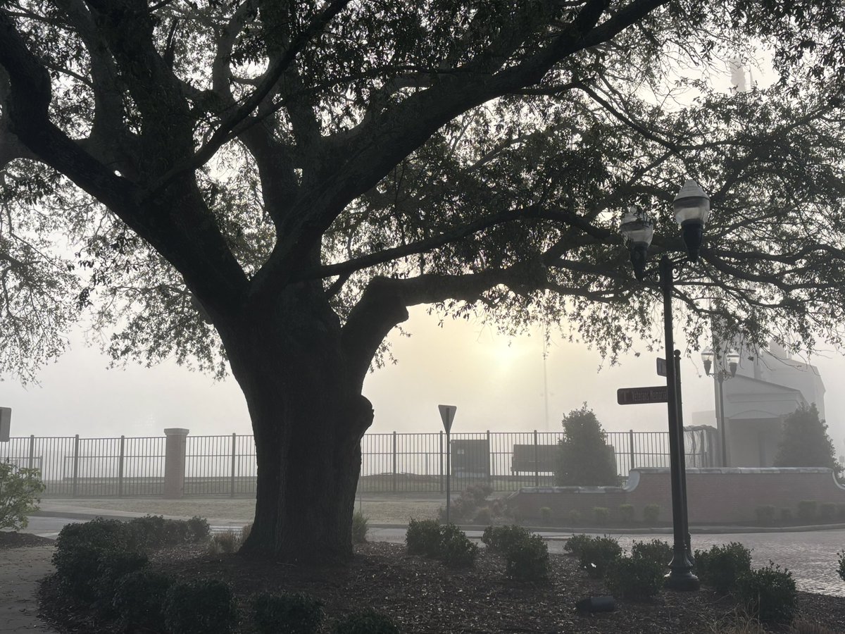 Can confirm a very foggy morning walk <a href="/TROYUnews/">Troy University</a> but the sun is making a good attempt to punch through.  <a href="/spann/">James Spann</a> <a href="/JoshWeather/">Josh Johnson</a>