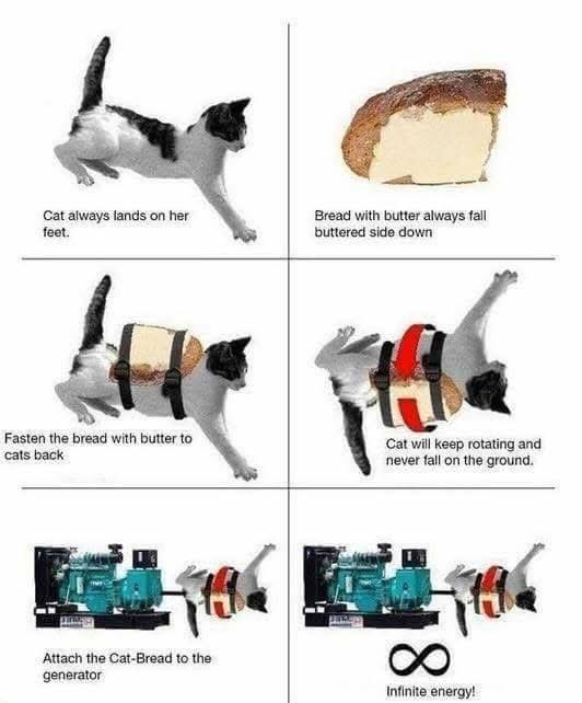 MelindaHoward4's tweet image. #ItsScience