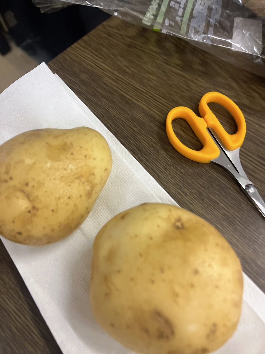 今だに進撃ifをずるずる引きづらせてください笑
思いの丈を死ぬ程長文でALTに綴っているので(ほぼ出演者の皆さんへの感想笑)時間があれば読んでもらえたら嬉しいです♡

本当自分が出ていないナンバーも全部全部大好きで素敵な公演でした✨
#進撃if