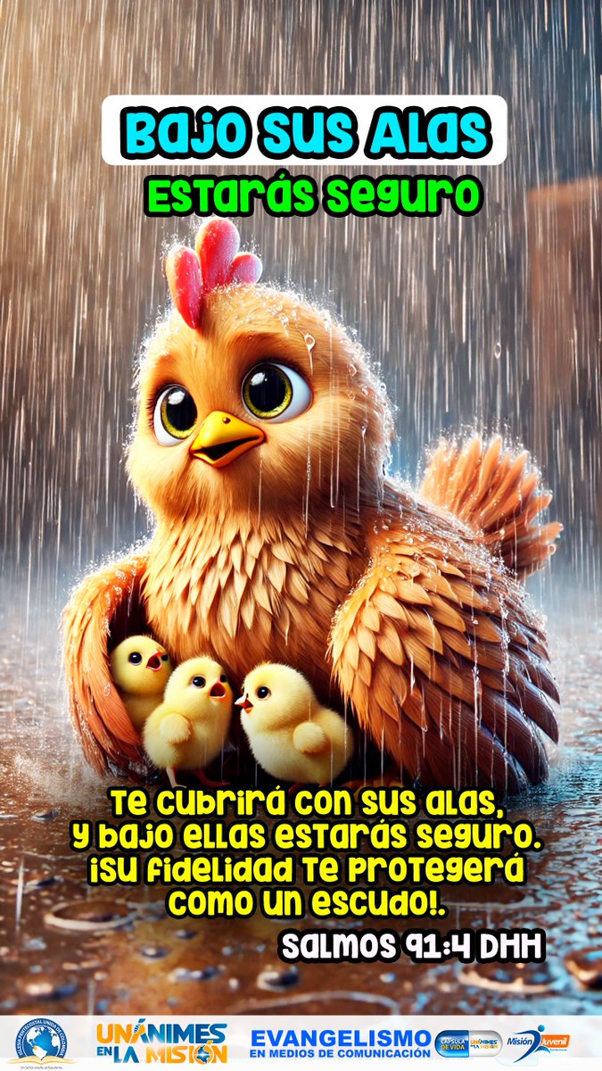 MorenoEnsiso's tweet photo. https://t.co/TJRQfwXHhF