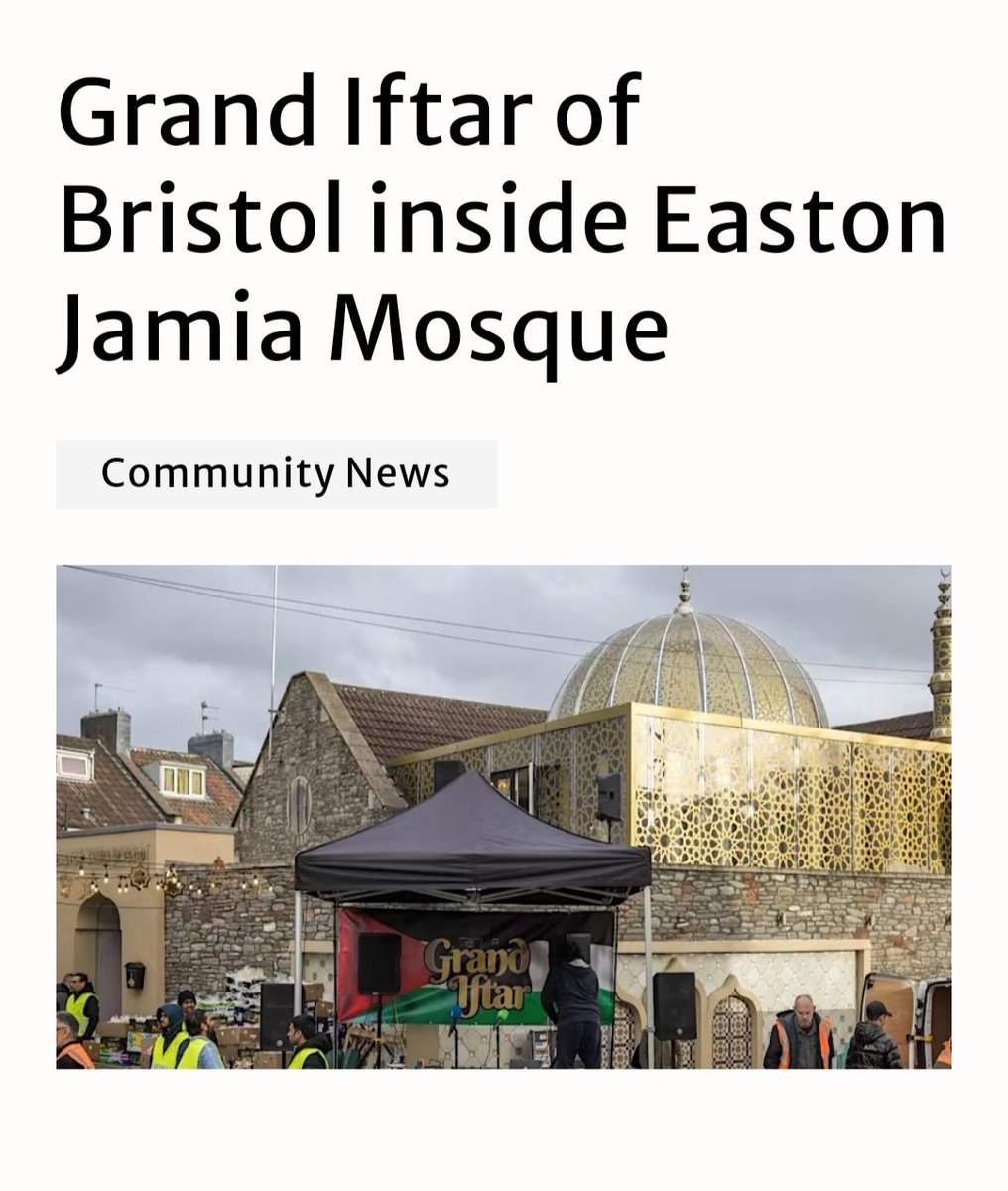 ShamsiDesign tweet media