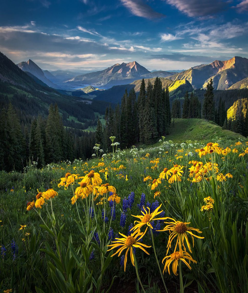 Colorado high country 🫎 

Have a great day y’all