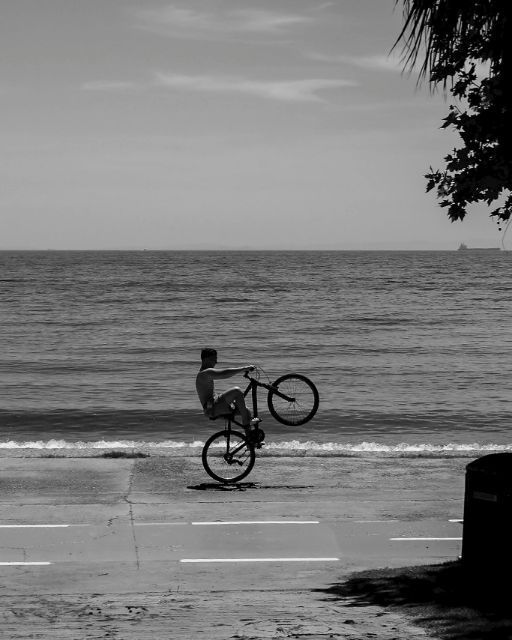 taurvelo's tweet photo. Shop Now | https://t.co/u83UEhenjl | Pedal through life with purpose and style. 
.
.
#gravelbike #bikeride #cyclingadventures #bikestagram #ridewithgps #taurvelo https://t.co/DiVLLtdoaI