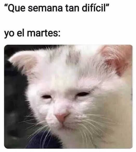 SergioyLupita's tweet image. Martes 7:00 am