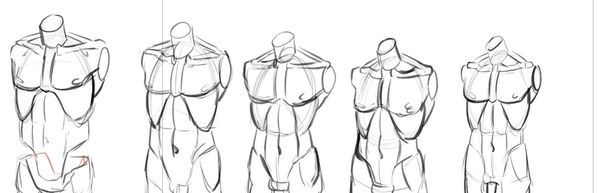 Animayson's tweet image. Exercise Anatomy!
