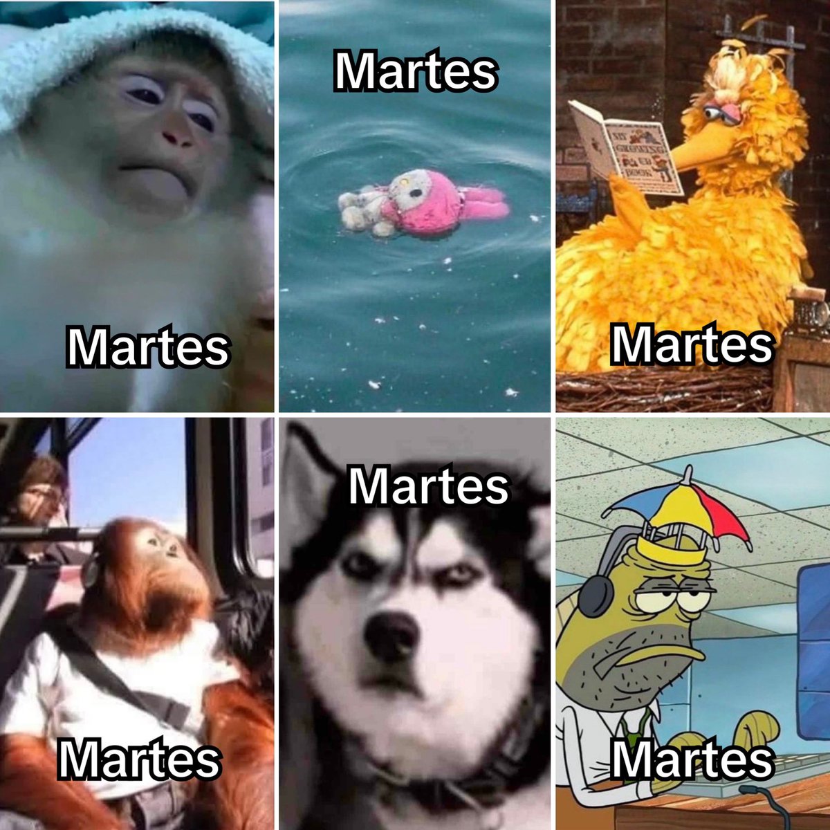 Guarromantico_'s tweet photo. Martes. https://t.co/BKdIhawbvM