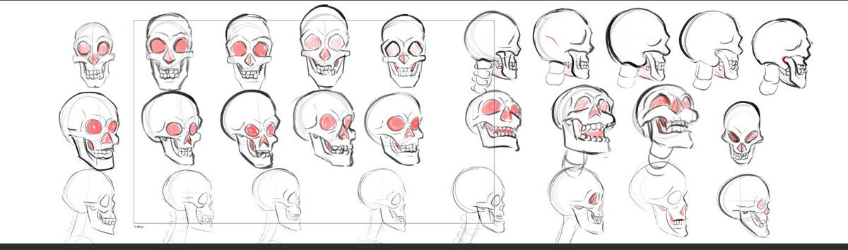 Animayson's tweet image. Exercise Anatomy!