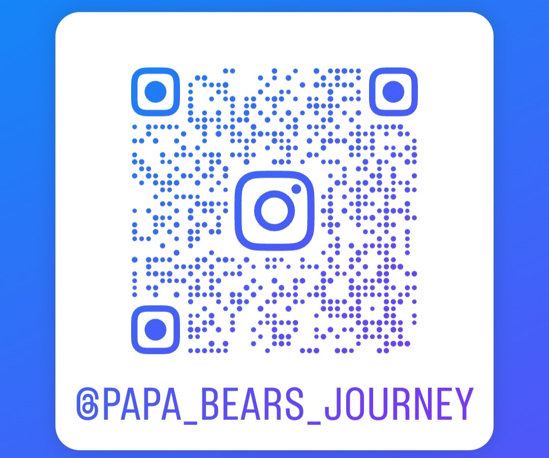 Papa Bear's Journey tweet media