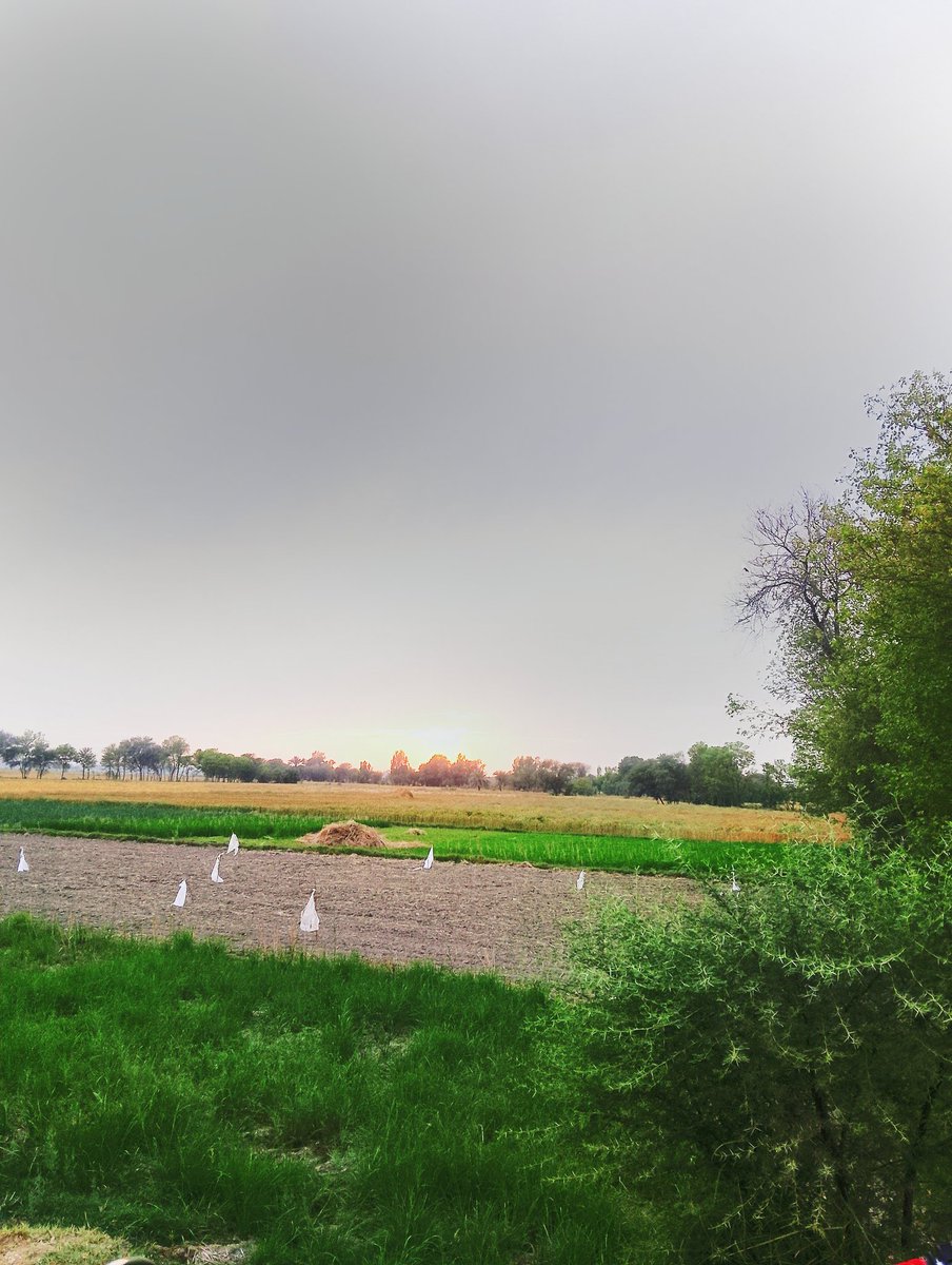 #NoMoreCanalsOnIndus 
#FreedomSindh
#Rejectgreenpakistan