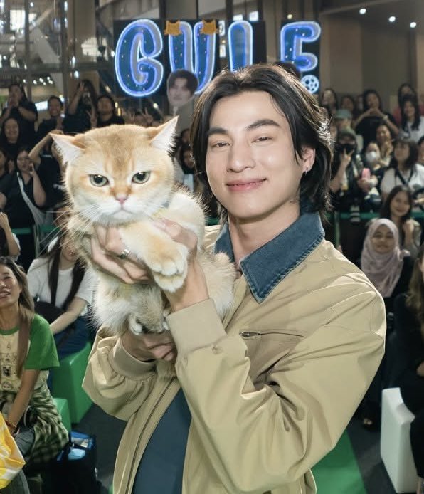 meowgulf97's tweet photo. ⚪️ ⚪️ https://t.co/qFZwtYbc4u