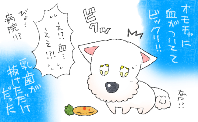 もちすけ日記④
はじめての生活はわからないことだらけ。
ビックリさせちゃってごめんね…。 