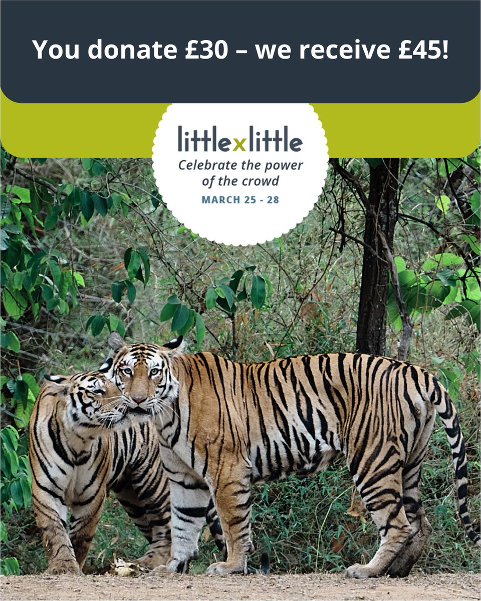 This #LittlebyLittle week, we desperately need funds to equip our dedicated anti-poaching patrols. Can you donate now, and help us access FREE EXTRA £££ from our fundraising partner, GlobalGiving? lght.ly/m1k1m7g