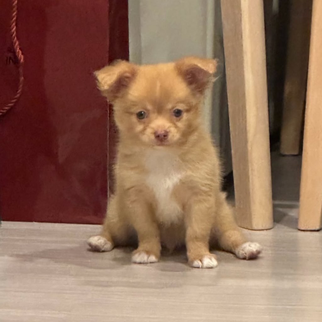 kittypinkiepie's tweet image. 