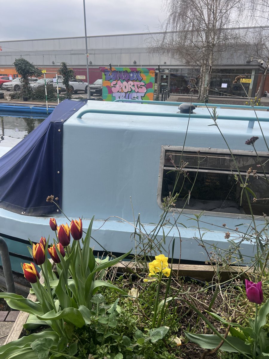 Big thank you to ⁦<a href="/urbanwiselondon/">Urbanwise.London</a>⁩ and  volunteers for making Canalside Activity Centre loos so lovely this spring with  the bulbs and flowers 🌺👏⁦<a href="/RBKC/">Royal Borough of Kensington and Chelsea</a>⁩ ⁦<a href="/RBKCMayor/">Mayor of Kensington and Chelsea</a>⁩ ⁦<a href="/youngkandc/">Young K&C</a>⁩