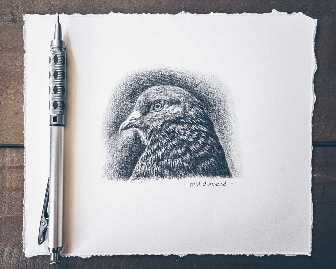Just a supersweet, teeny-tiny little pigeon…! ❤️✨

Graphite pencil drawing on Fabriano Artistico HP, 3.5”x3”, 2020