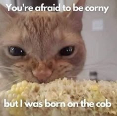 blakopsfearless's tweet photo. @qtnarrator https://t.co/PJ37qbqiqT