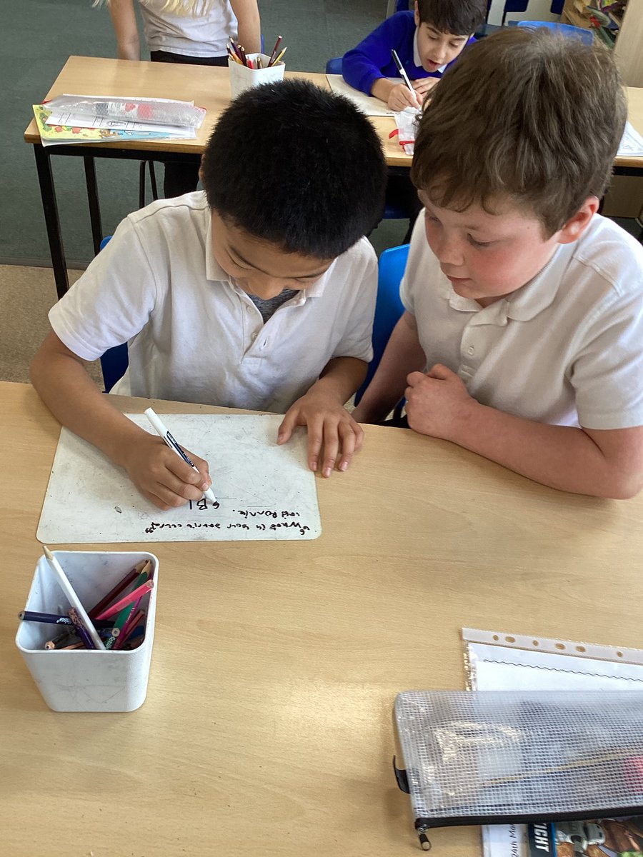 Tang Hall Swallows tweet media