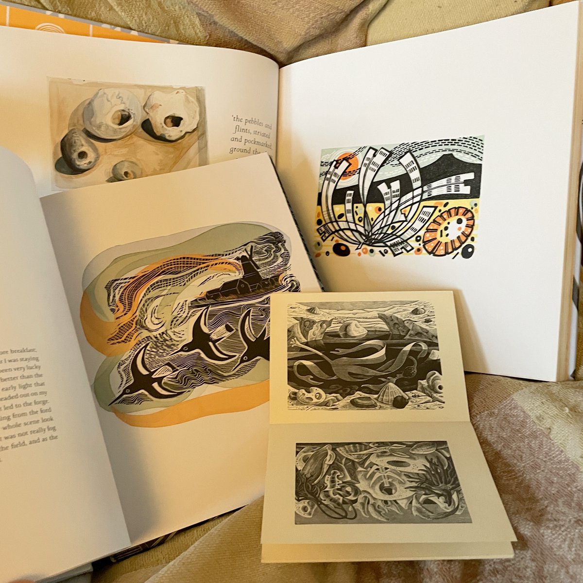 Monica Poole’s woodcuts remind me of some of the wonderful print-makers whose work I love now – especially Angie Lewin &amp; Angela Harding.📚Large to small: Plants and Places (Angie Lewin &amp; Leslie Geddes-Brown), Wild Light (Angela Harding) &amp; Monica Poole #AngieLewin #AngelaHarding