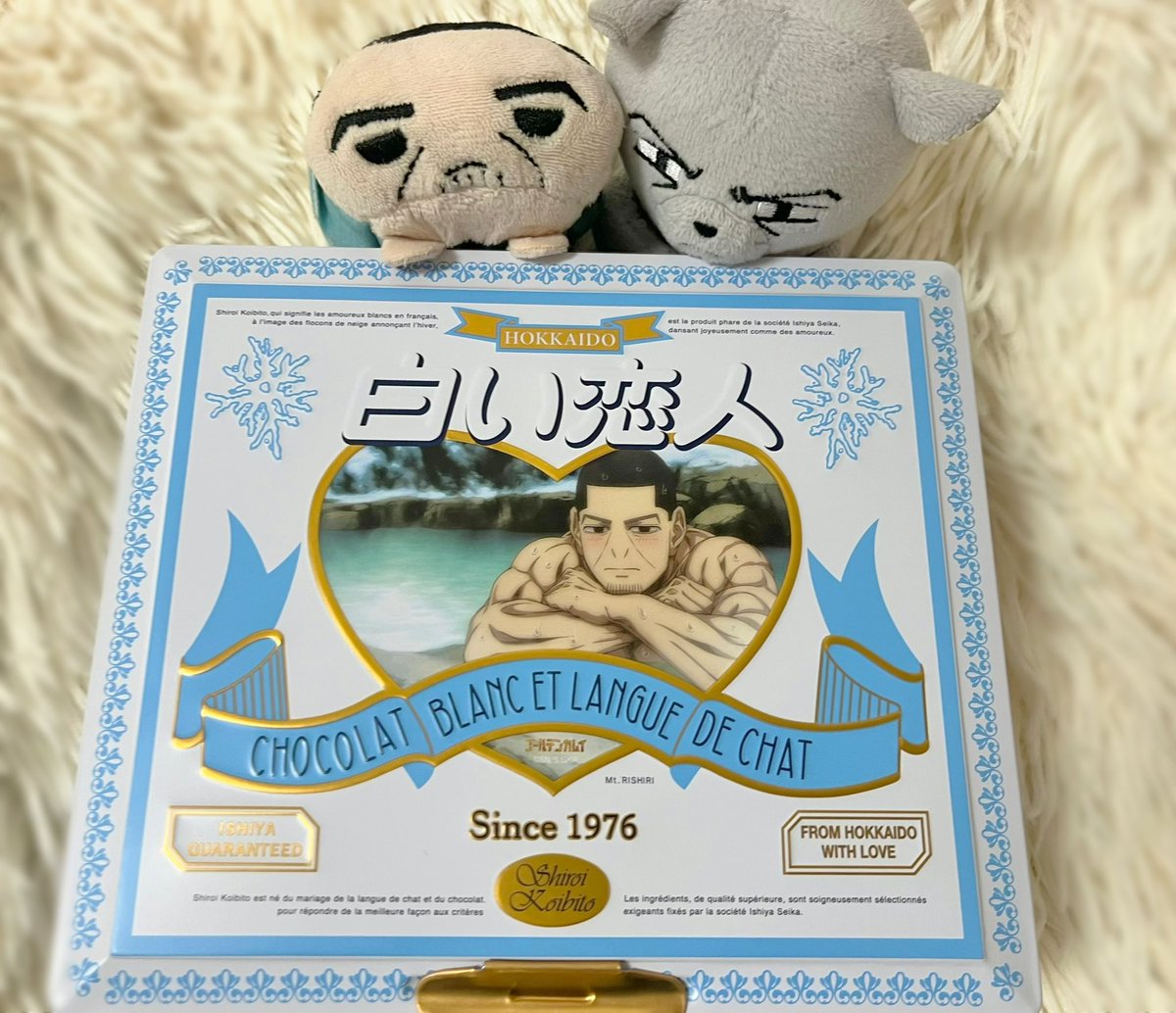 届いたね、ずっしりだね、かわいいね