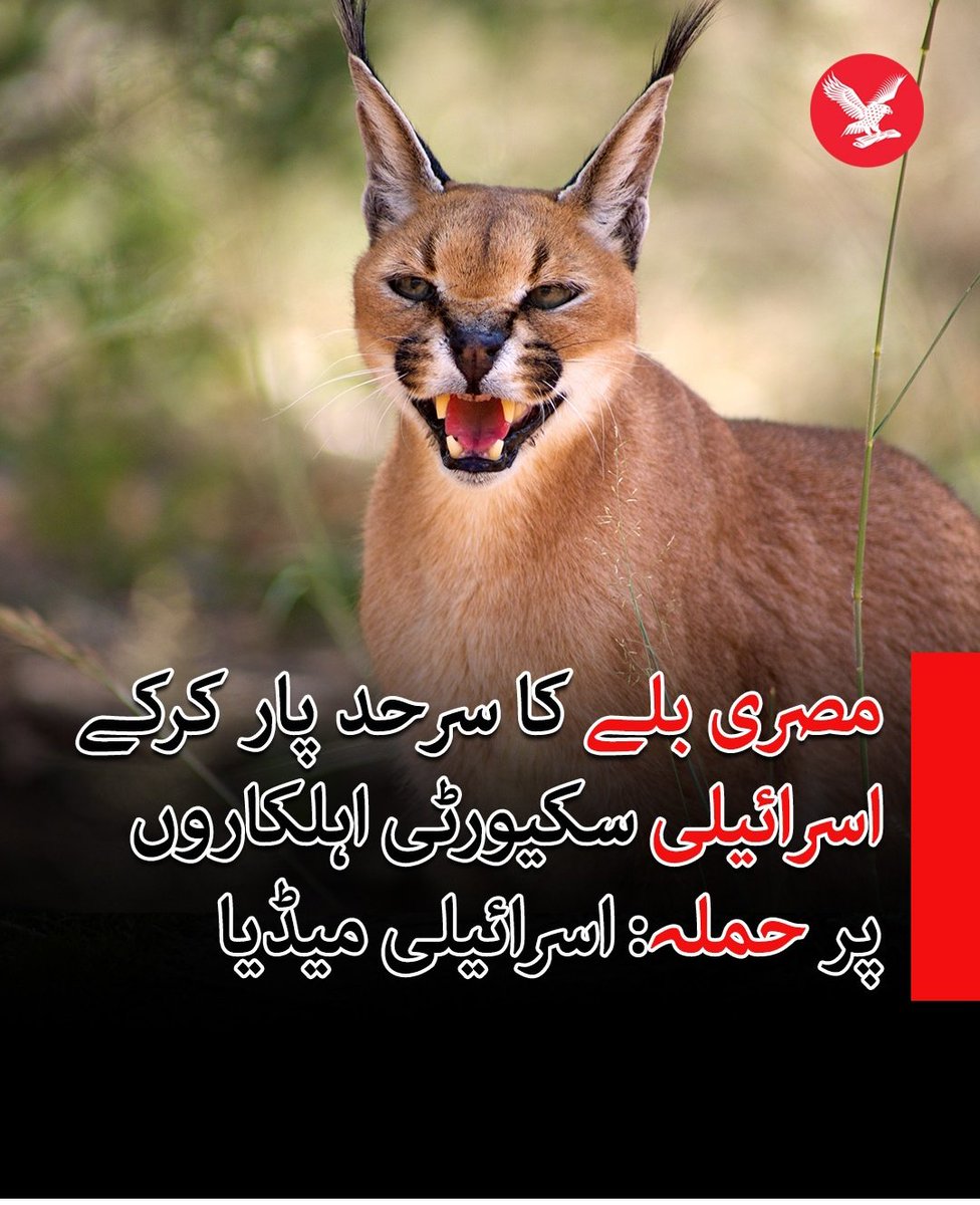 آپ سے بہتر تو یہ بلا نکلا...
<a href="/geonews_urdu/">Geo News Urdu</a>
<a href="/geonews_english/">Geo English</a>

#حماس_مزاحمت_ہے_دہشتگردی_نہیں